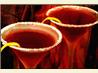 Pomegranate Martini. Recipe by NcMysteryShopper