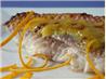 Orange-Glazed Red Snapper. Recipe by Wildflour