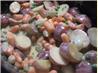 Cheesy Winter Vegetables Casserole. Recipe by carolinafan