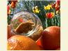 Brown Sugar Body Scrub