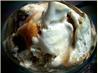 Amaretto over Ice Cream