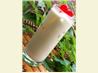 Amaretto Cow