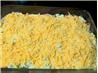 Yet  Another 7-Layer Salad. Recipe by CandyTX