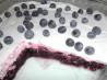 Blueberry Jello Dessert. Recipe by Mom2Rose