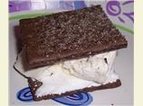 S'mores Chocolate Chip Ice Cream Sandwiches