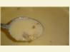 Alfredo Sauce. Recipe by StreetChef