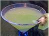 Kiwi Martini