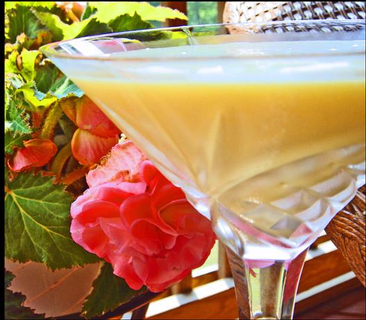 Orange Jewel Martini. Photo by Bev