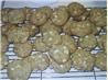 White  Chip Island Cookies. Recipe by LizCl
