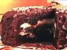 Pecan Fudge Ripple Layer Cake. Recipe by Dlgreen
