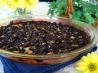 Blueberry Bread Pudding, Wonderful and Easy!