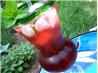 Pomegranate Mojito With Vanilla Sugar