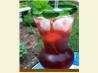 Pomegranate Mojito With Vanilla Sugar