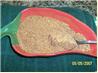 Taco Seasoning - Budget Friendly Seasoning for Tacos, Burritos..