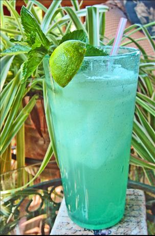 Mojito Del Sol. Photo by Bev