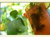 Mojito Del Sol