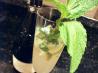 Champagne Mojito