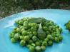 Peas With Lemon and Tarragon