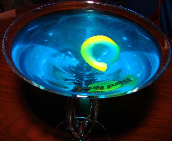 Blue Shark