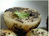 Mint Potato