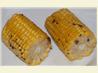 BBQ Cob of Corn With Pepper