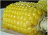 BBQ Cob of Corn With Pepper