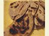 Aloo Paratha (Indian Potato-Stuffed Flatbreads)