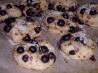 Noe Valley Bakery Blueberry Pecan Scones