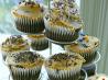 Ultra Moist Starbucks Chocolate Cake (Or Cupcakes)