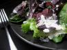 Mixed Baby Greens With Creamy Dressing. Recipe by janem123