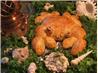"crabby" Bread!. Recipe by Wildflour