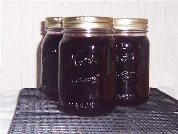 Dewberry Jelly. Photo by Jellyqueen