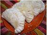 Empanadas De Pina (Pineapple)