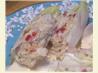 Crab Salad on Endive Appetizer