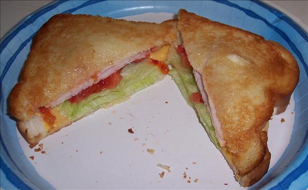 Salsa Turkey Oven Toasted Deli Sandwich. Photo by looneytunesfan