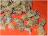 Caramelized Walnuts