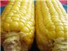 Tasty BBQ Corn on the Cob..try Me!