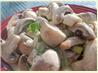 Sienisalaatti (A Fresh Mushroom Salad from Finland)