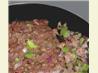 Mexican Tostados