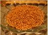 Wheat Sweet Salad