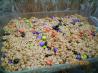 Peanut Butter Rice Krispies Bars (No-Bake). Recipe by Kittencalskitchen