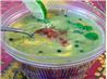 Avocado Soup With Green Peppercorns. Recipe by evelyn/athens