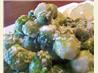 Brussels Sprouts in Lemon Cream. Recipe by Sharon123