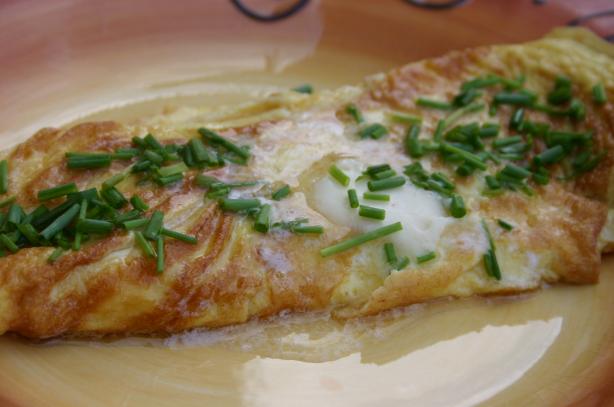 The Omelet by Alton Brown. Photo by my3beachbabes
