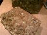 Zucchini Bread
