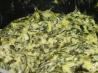 Spinach & Artichoke Dip With Smoked Mozzarella. Recipe by Teri G.