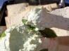 Basil and Feta Spread
