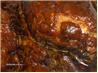 Spicy Orange BBQ Sauce