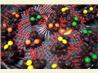 Chocolate Spiders. Recipe by tweetyfan