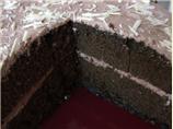 Chocolate Hot Milk Sponge